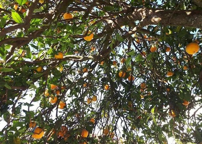 Casa Do Vale - Moradia-rio Minho-seixas-caminha - Casa De Ferias Completa Com Piscina Caminha