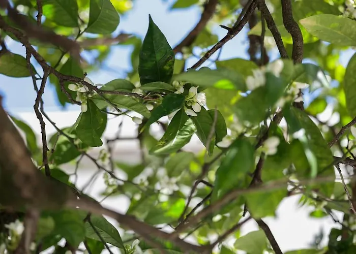 Holiday home Casa Do Vale - Moradia-rio Minho-seixas-caminha - Casa De Ferias Completa Com Piscina *