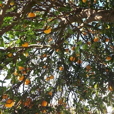 Casa Do Vale - Moradia-rio Minho-seixas-caminha - Casa De Ferias Completa Com Piscina Каминья