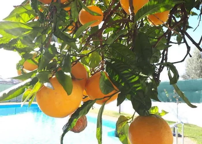 Casa Do Vale - Moradia-rio Minho-seixas-caminha - Casa De Ferias Completa Com Piscina *